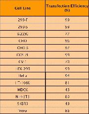 Lipofectamine™ 2000 cell line performance